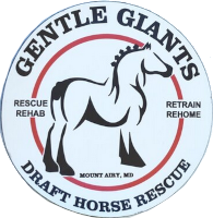 gentle-giants-feature.png