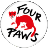 four-paws-feature.png